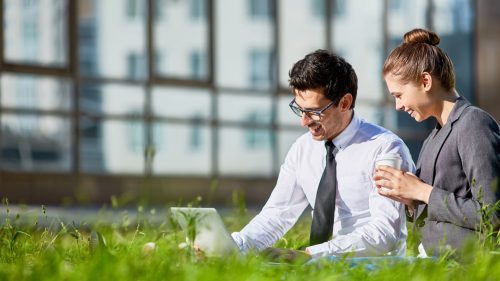 Consulente Ambientale